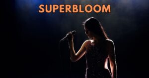 misterwives superbloom album review